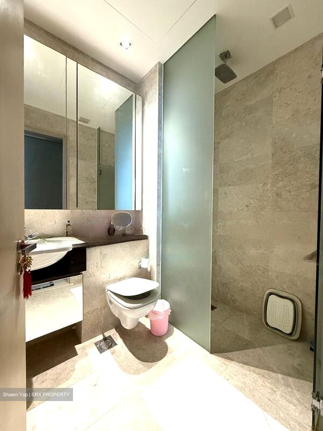 The Boutiq (D9), Apartment #488296051